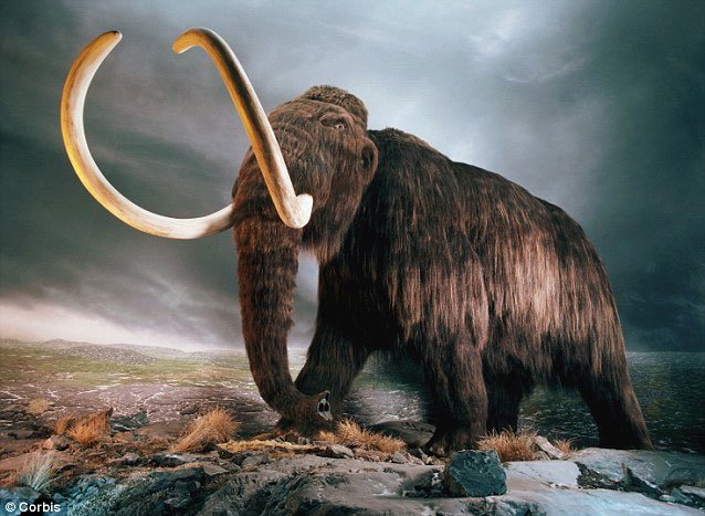 Bão thiên thạch cách đây gần 13.000 năm dường như đã khiến người tiền sử và voi ma mút bị diệt vong.