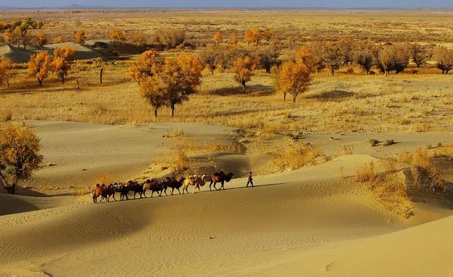 Vẻ đẹp của sa mạc Taklamakan lớn nhất Trung Quốc.