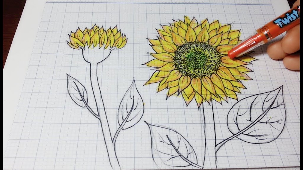 Cộng đồng mạng chia sẻ hình hoa hướng dương dễ vẽ và ý nghĩa nhất