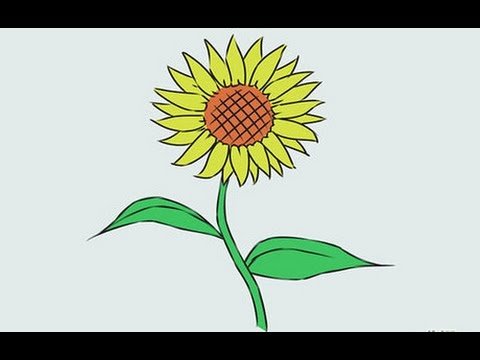 Cộng đồng mạng chia sẻ hình hoa hướng dương dễ vẽ và ý nghĩa nhất