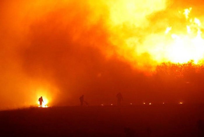 Trận cháy rừng kinh hoàng ở khu vực OHiggins, Nam Chile vào tháng 1/2017.