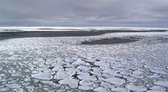 Diện tích băng tại Nam Cực đã xuống mức thấp nhất chỉ trong vòng 4 năm mà chưa rõ lý do