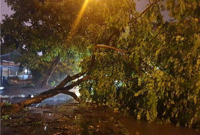 Bão làm đường phố ngập, cây đổ tại TP Móng Cái tối 2/8.