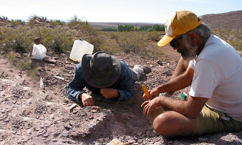 Địa điểm nơi hóa thạch được tìm thấy từng là sa mạc khô cằn.