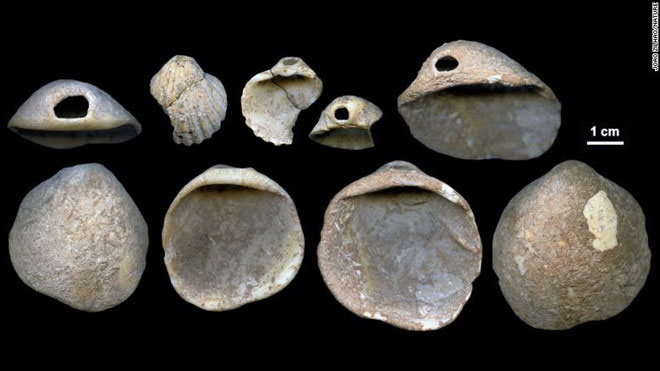 Một số vật dụng được làm bằng vỏ sò được tìm thấy ở Tây Ban Nha có niên đại 115.000 đến 120.000 năm.