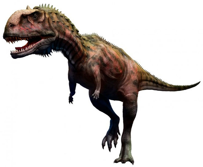 Majungasaurus, sinh sống tại khu vực Madagascar trong khoảng thời gian từ 66-70 triệu năm trước
