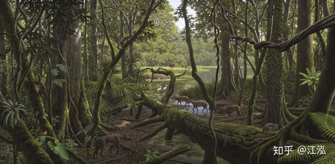 Rừng mưa nhiệt đới của Messer thế Eocene.