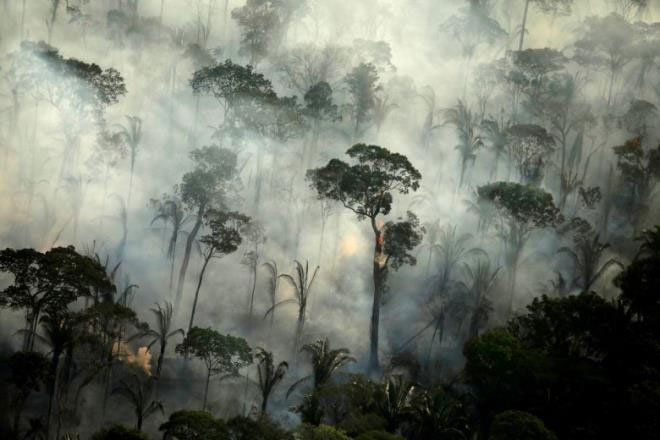 Một khu vực rừng mưa nhiệt đới có kích thước tương đương với một sân bóng bị mất đi cứ sau 6 giây trong năm 2019.