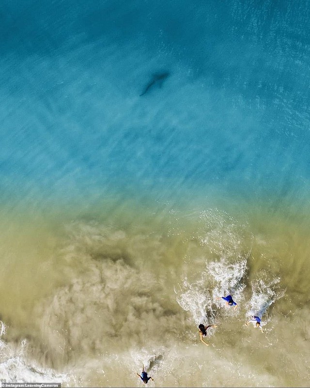 Chụp ảnh drone trên biển, ông bố phát hiện mối hiểm họa chỉ cách vài mét và bắt các con chạy lên bờ ngay lập tức - Ảnh 2.