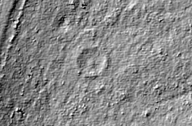 Hình ảnh LiDAR cho thấy cấu trúc hình tròn ẩn dưới cây rừng.