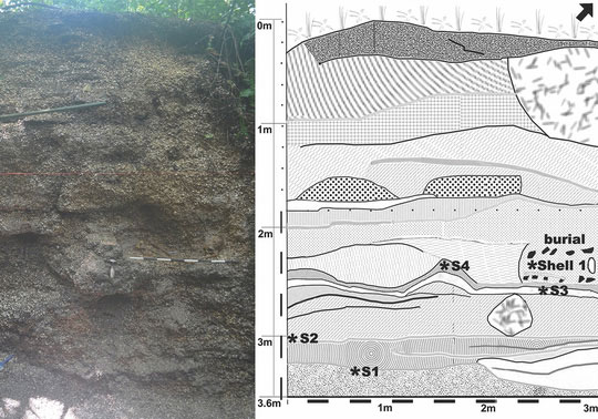 Những điểm trắng li ti trong đất mộ cổ chính là vỏ sò, ốc và các loài nhuyễn thể khác 