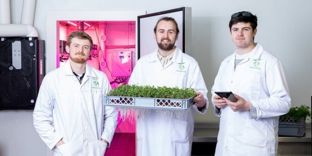 Công nghệ khí canh (aeroponics) sẽ mang đến cho nông dân cơ hội trồng rau xanh ở bất kỳ khu vực nào