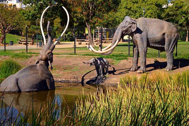 Mô tả kích thước thật của voi ma mút mắc kẹt trong nhựa đường được trưng bày tại Hồ nhựa đường La Brea