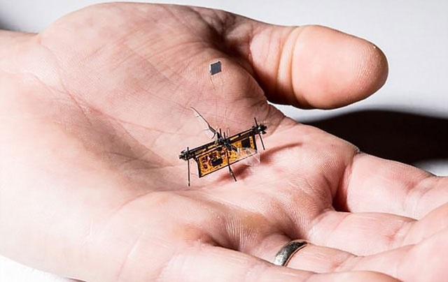 Đây là lần đầu tiên một robot siêu nhỏ có thể bay được giới thiệu.