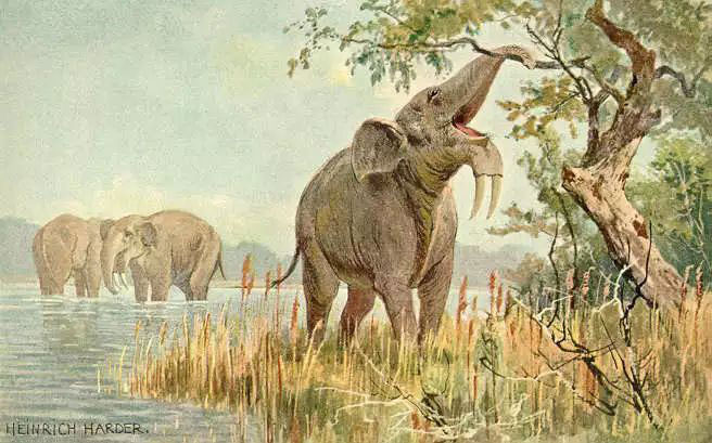 Deinotherium là một họ hàng thời tiền sử của voi hiện đại ngày nay