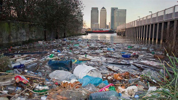 Sông Thames những ngày bị ô nhiễm.