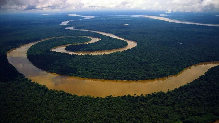 5 sự thật kỳ thú về rừng nhiệt đới Amazon