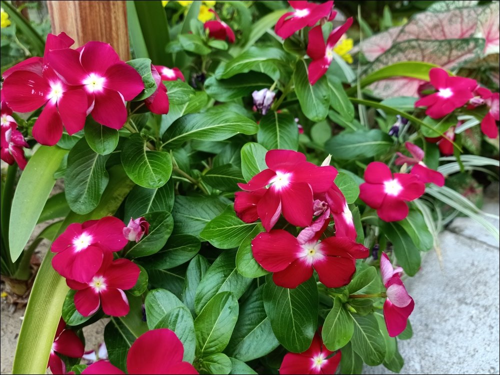 Bộ ảnh cảnh biển đầy màu sắc chụp bởi Oppo F11 Pro