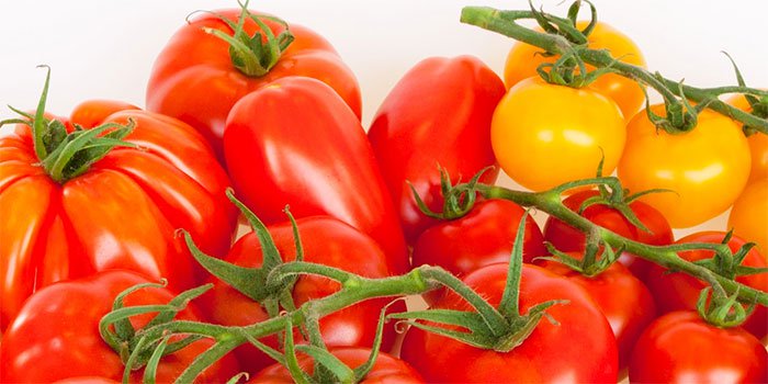 Bạn cần hết sức cẩn thận với lá cà chua vì chúng được coi là không an toàn khi tiêu thụ