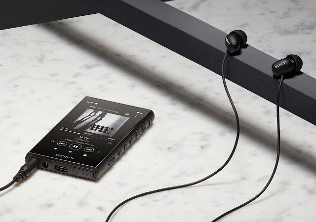 IFA 2019: Máy nghe nhạc cao cấp Walkman A100 và NW-ZX507, Android Pie 9.0, DSD native 11.2MHz ảnh 6