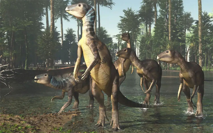 Hình ảnh phục dựng được cho là loài khủng long Weewarrasaurus pobeni.