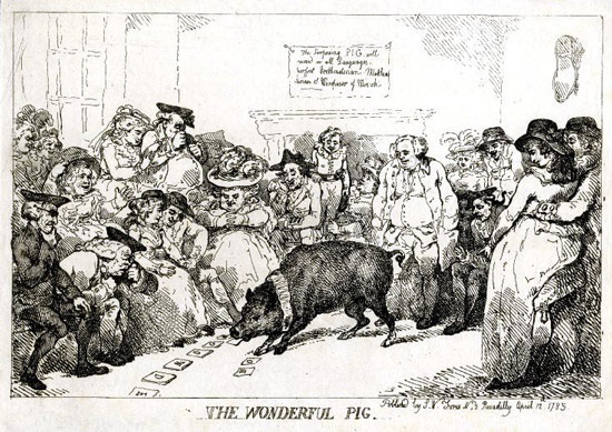 Bức vẽ mô tả buổi biểu diễn của “Wonder Pig” – chú lợn thông minh đầu tiên được biết đến