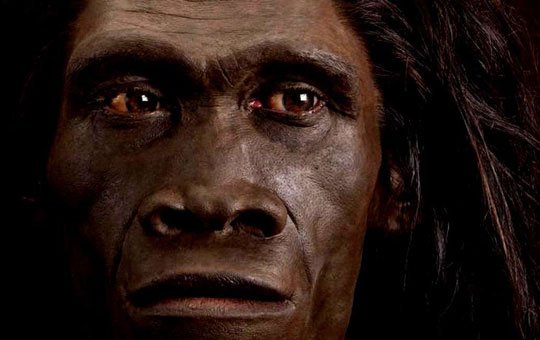 Người Homo erectus, từng được cho là chủ nhân của những chiếc răng