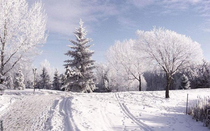 Tuyết thường xuất hiện ở các vùng ôn đới vào mùa đông.