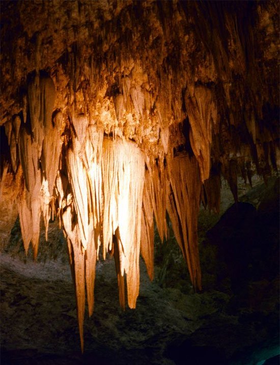 Nhũ đá dài bên trong hang động phức tạp tại Công viên quốc gia Carlsbad Caverns, Mỹ.