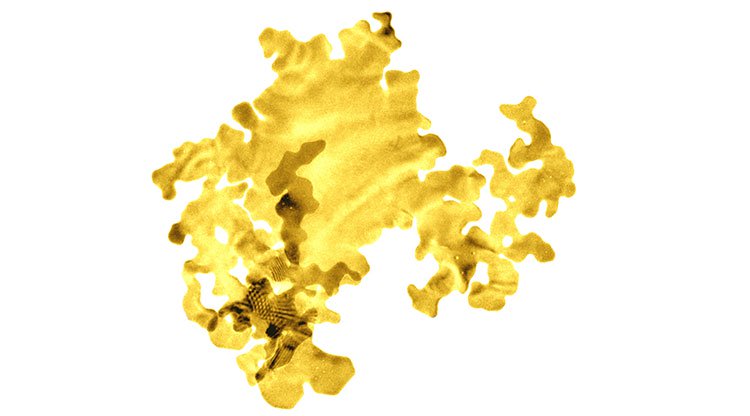 Lá vàng siêu mỏng chỉ gồm hai lớp nguyên tử.
