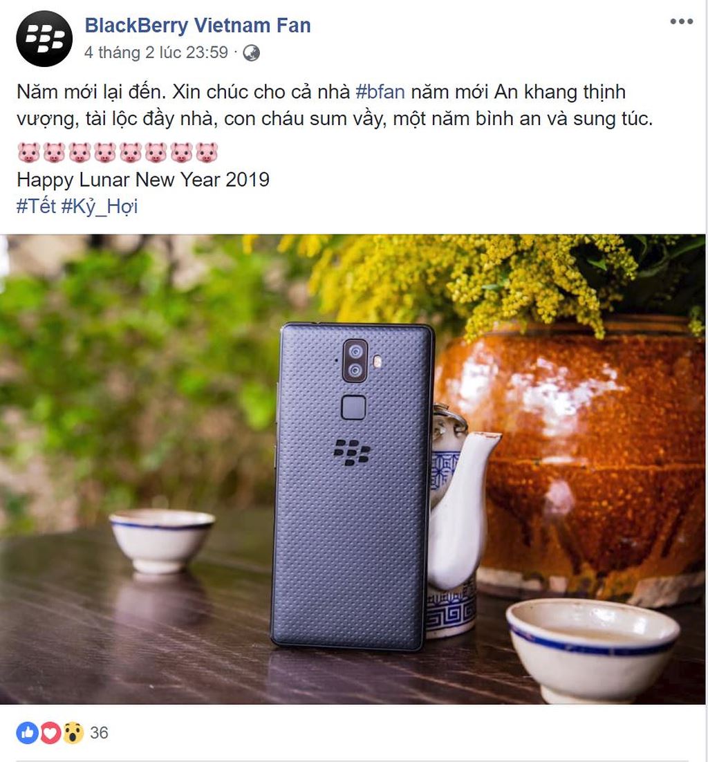 BlackBerry Evolve sẽ bán tại Việt Nam trong tháng 2? ảnh 1