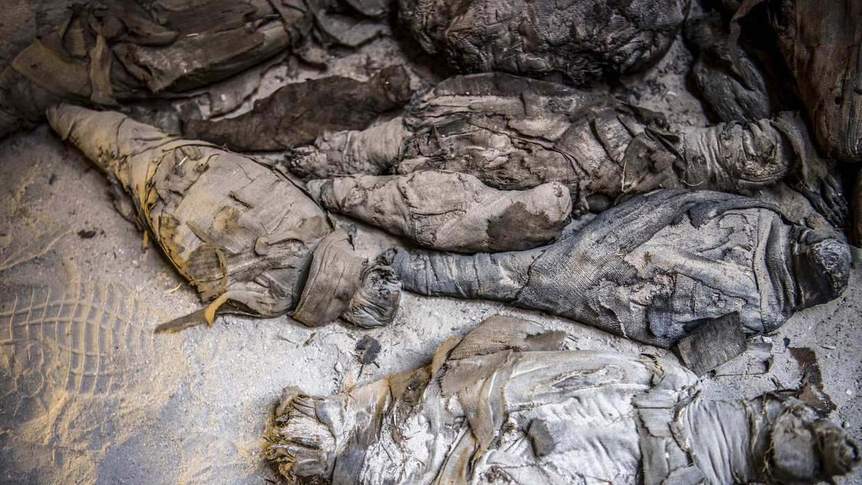 Phat hien hang loat xac uop trong mo 2.000 nam o Ai Cap-Hinh-2