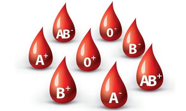 Các nhóm máu có thể di truyền cho thế hệ sau.