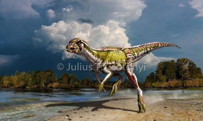 Oryctodromeus cubicularis là một loài khủng long ăn thịt