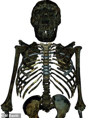 Cậu bé Turkana, bộ xương Homo erectus có thể nói là được bảo tồn tốt nhất thế giới