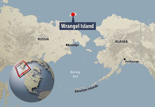 Đảo Warngel, nơi nhóm nghiên cứu tìm thấy hóa thạch voi ma mút.