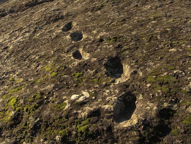 Những dấu chân hóa thạch trên núi lửa Roccamonfina