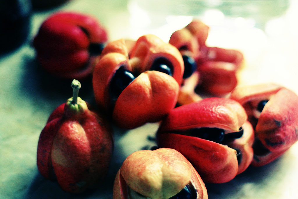 Quả e-ki (ackee) có nguồn gốc ở khu vực nhiệt đới vùng Tây Phi, trái cây này được nhập khẩu vào Jamaica và bây giờ trở thành một phần quan trọng trong văn hóa vùng Caribe.