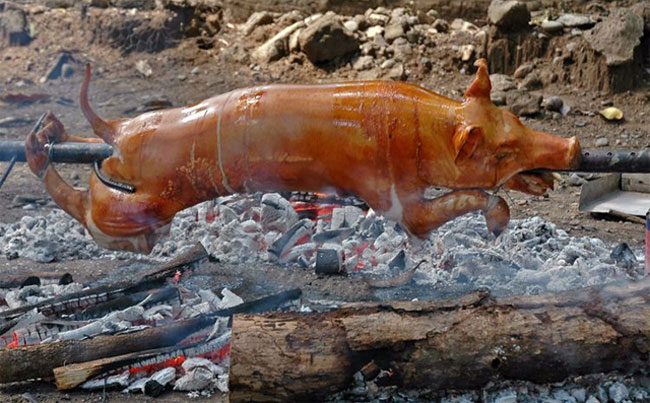 Văn hóa Hồi giáo được biết đến với quy định cấm các tín đồ ăn thịt lợn.