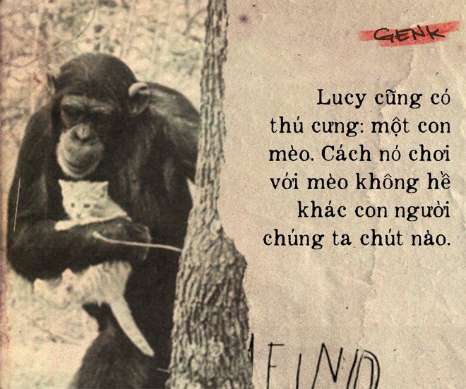 Câu chuyện đau lòng về Lucy, con tinh tinh vẫn tưởng mình là người - Ảnh 3.