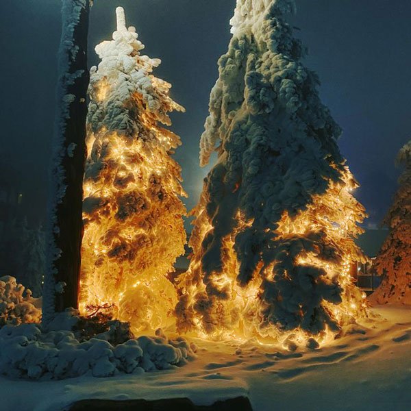 Những cái cây phủ tuyết được trang trí đèn trông như một vụ phóng tên lửa