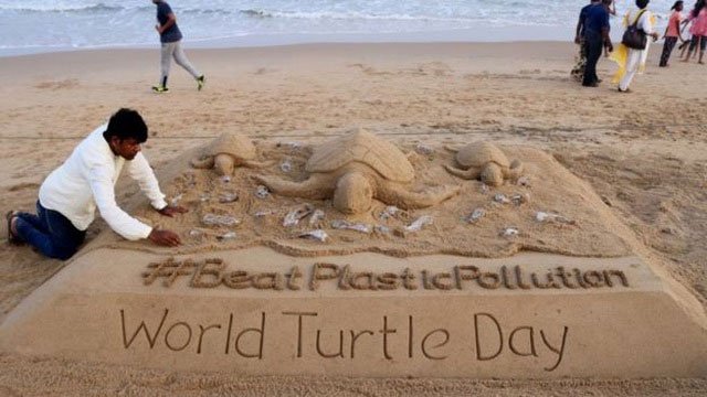 Tại sao nhựa là một điểm thu hút chết người đối với rùa biển?