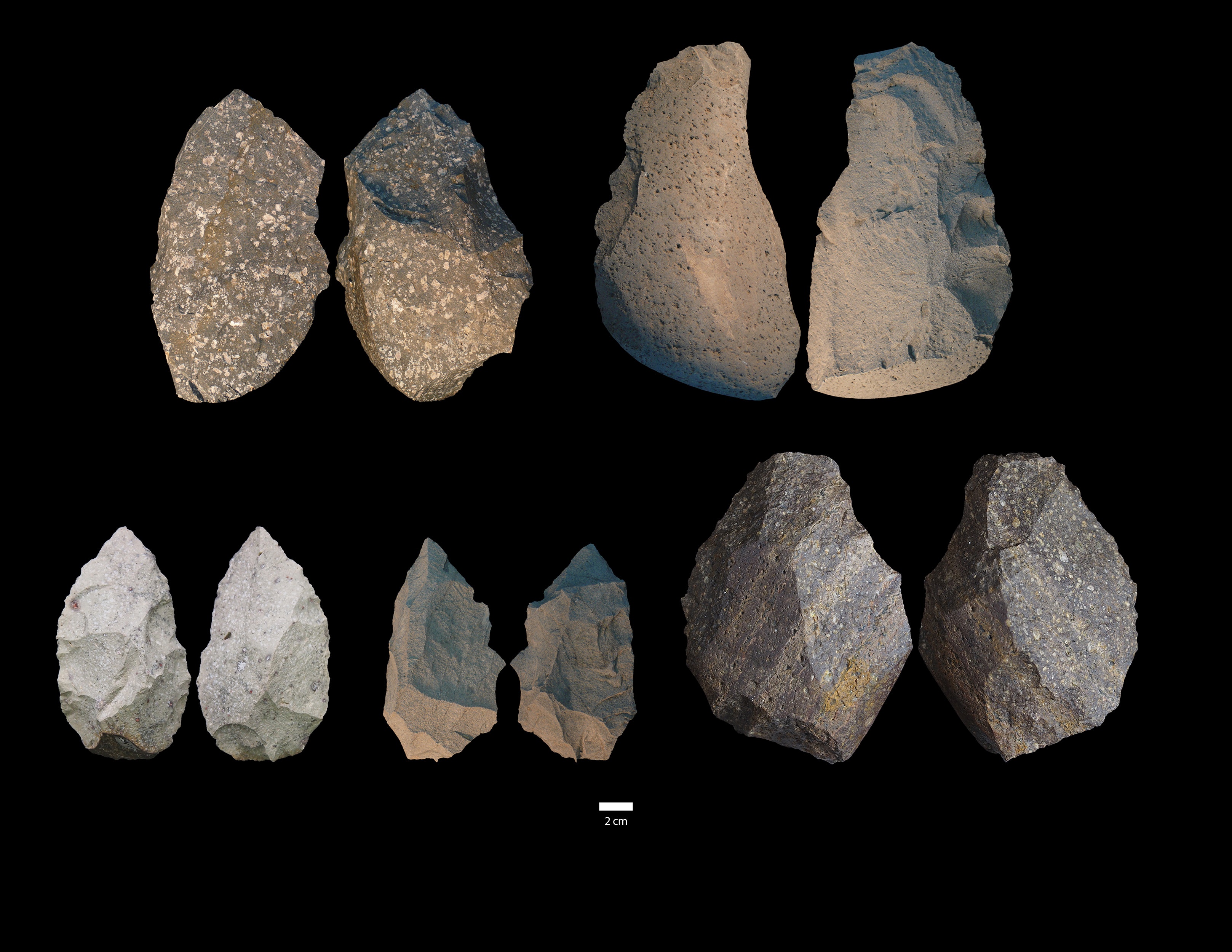 Những phát hiện mới về người cổ đại Homo Erectus