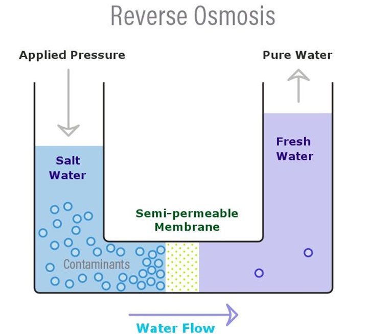 Khi thẩm thấu ngược, áp suất được áp dụng để giữ nước khỏi di chuyển sang dung dịch có nồng độ cao.