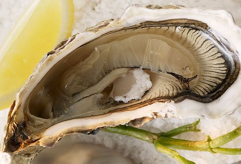 Hàu biển rất giàu khoáng chất zinc giúp tăng cường khả năng miễn dịch cho cơ thể bạn. Ngoài ra, ăn hàu biển cũng giúp chữa lành vết thương nhanh hơn.