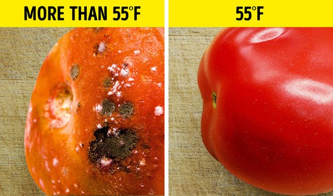 Bảo quản cà chua trong tủ lạnh