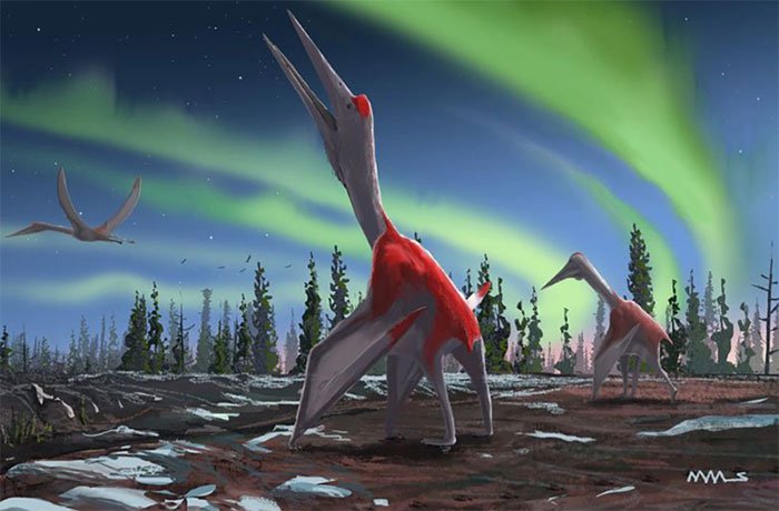 Hình ảnh mô tả loài khủng long mới được phát hiện.