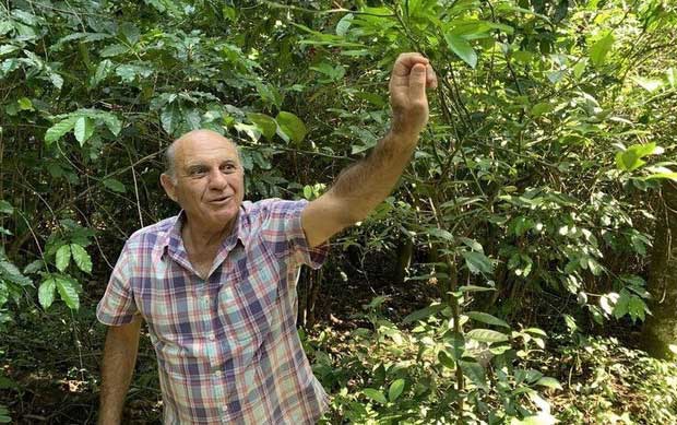 Ông João Neto - nông dân sở hữu trang trại cafe kiến