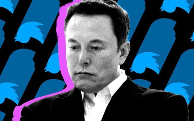 Sau thu phí tick xanh, Elon Musk lại muốn thu phí tất cả người dùng Twitter - Ảnh 1.