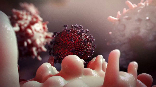ADN của HIV sẽ được sử dụng bởi chính tế bào chủ để tổng hợp các thành phần của virus.